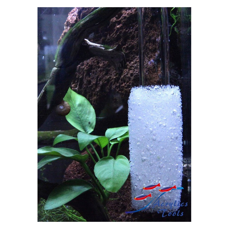 Esponja protectora