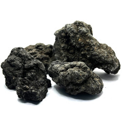 Lava Black Indonesia
