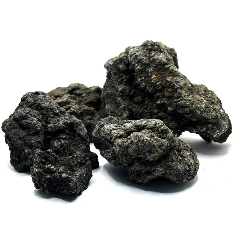 Lava Black Indonesia
