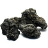 Lava Black Indonesia