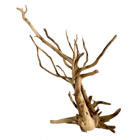 Clear wood