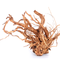 Twist Root