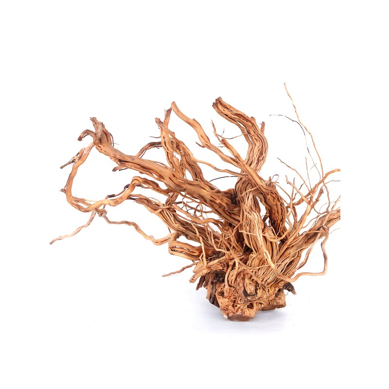 Twist Root