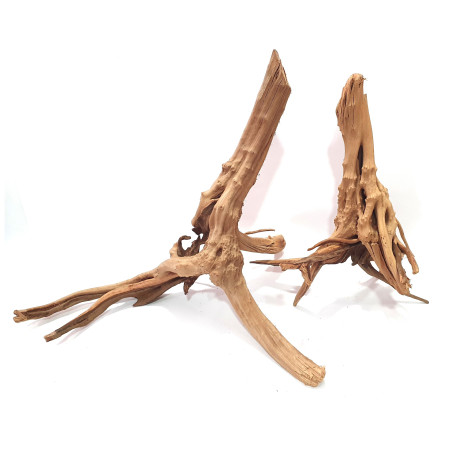 Wood Stump