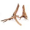 Wood Stump