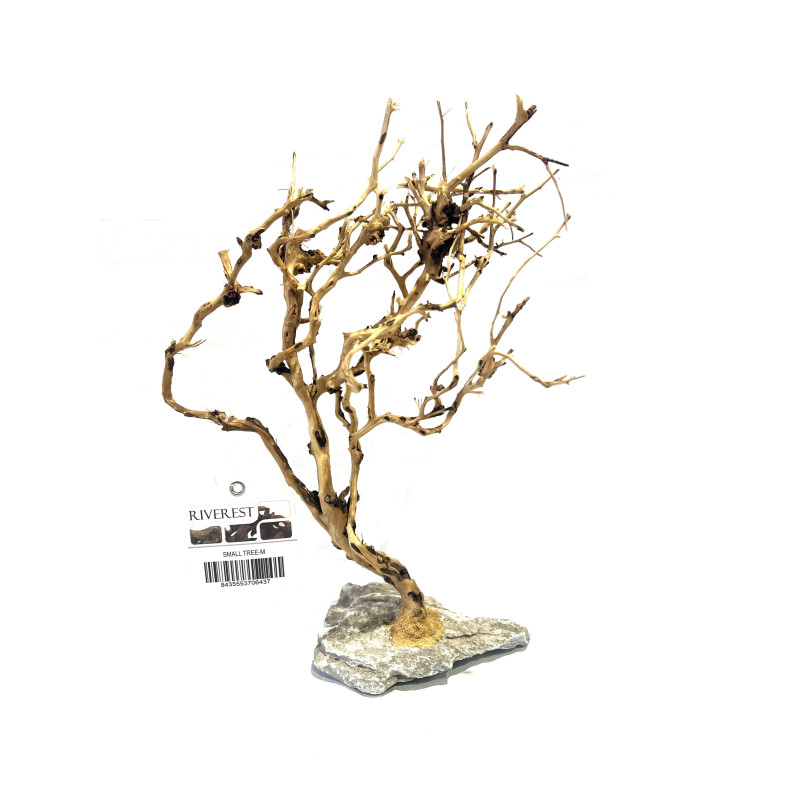 SMALL TREE COMPACT