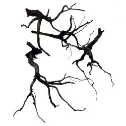 RASAMALA BLACK