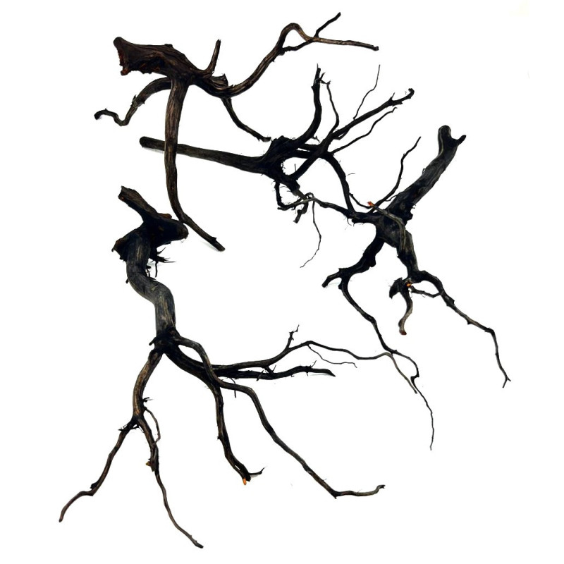 RASAMALA BLACK
