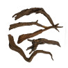 Ramas Driftwood