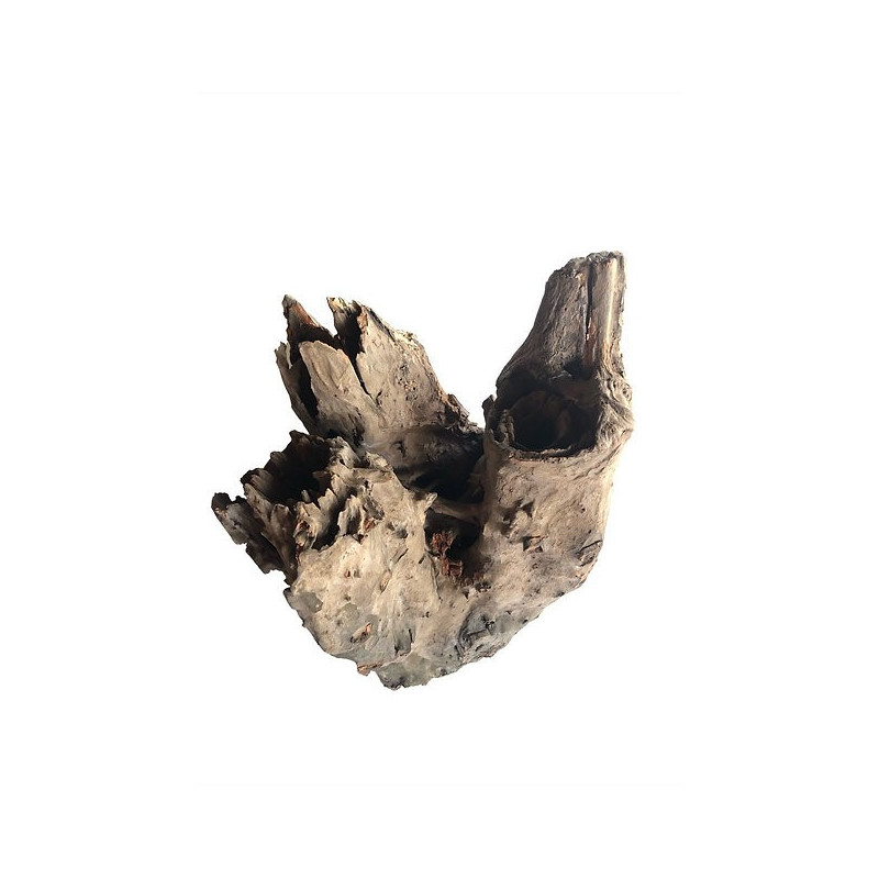 Tree stump