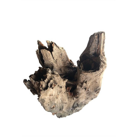 Tree stump