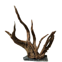Natural root + stone