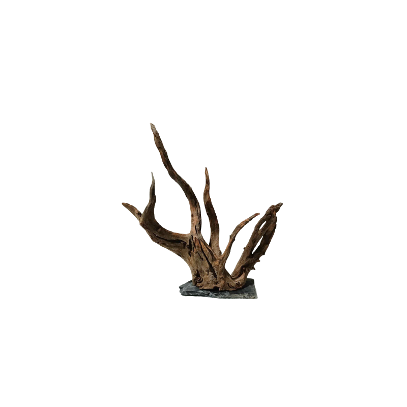 Natural root + stone