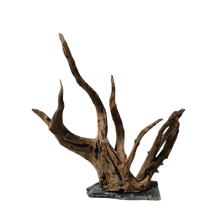 Natural root + stone